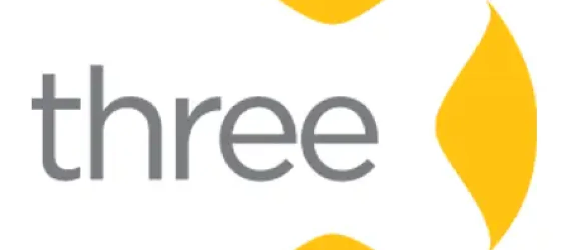 logo 300